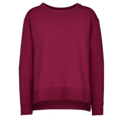 Icebreaker DALSTON LS SWEATSHIRT Damen - Sweatshirt
